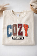 Cozy Season Sweatshirt